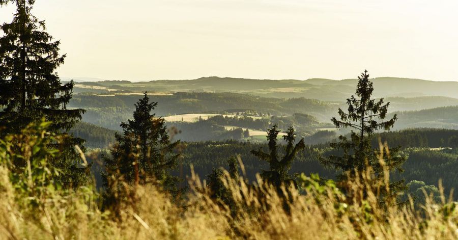 Der Döbraberg bietet einen hervorragenden Ausblick über den Frankenwald.
