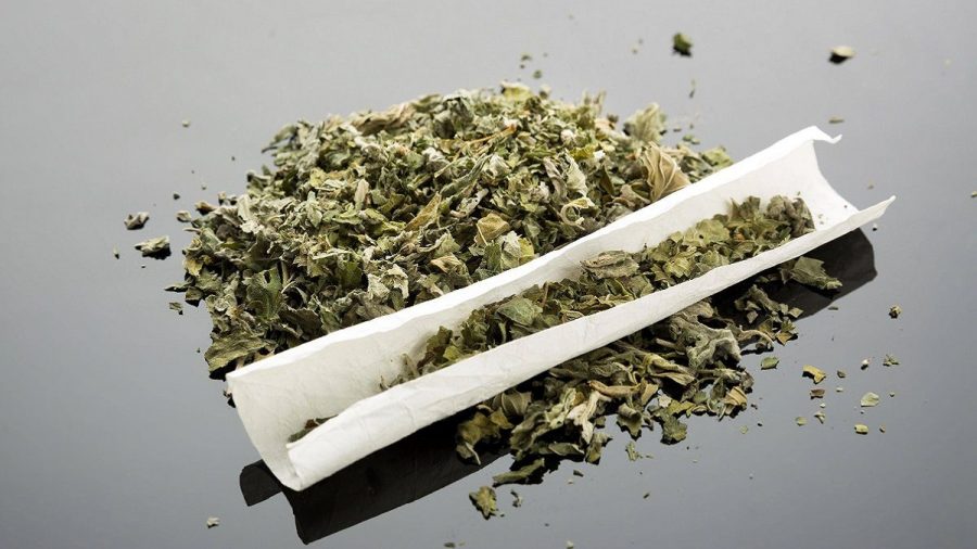 Diese vier Stars verkaufen Marihuana