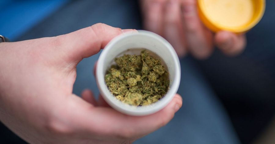 Cannabisblüten können seit 2017 von Ärztinnen und Ärzten auf Rezept verschrieben werden.