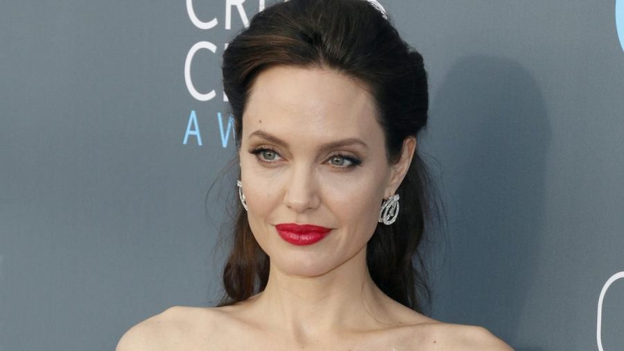 Angelina Jolie setzt sich für den Tierschutz ein. (jom/spot)