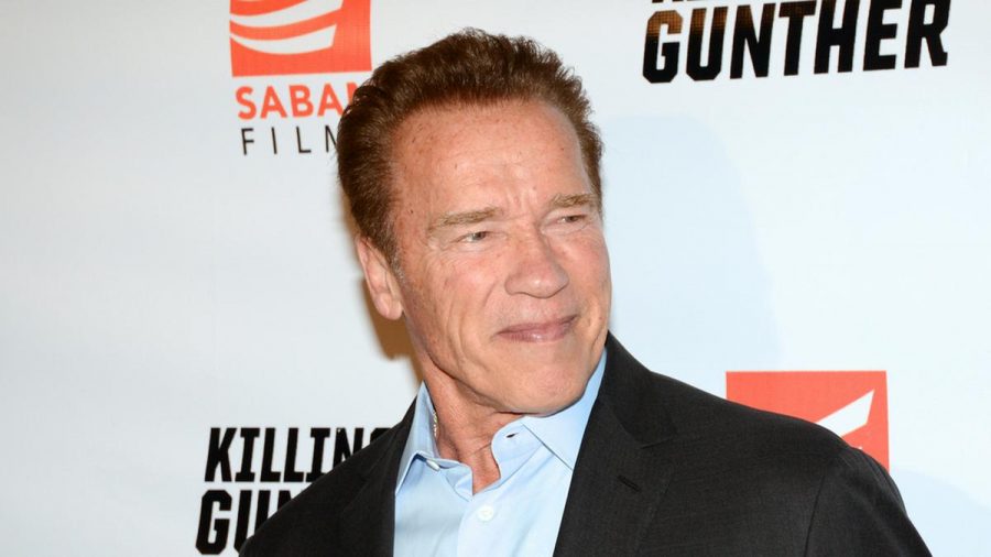 Arnold Schwarzenegger wird bald als CIA-Spion bei Netflix zu sehen sein (stk/spot)