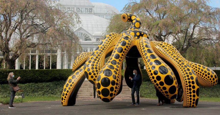 "Dancing Pumpkin", ein Werk der japanischen Künstlerin Yayoi Kusama, ist seit kurzem im Botanischen Garten von New York zu sehen.