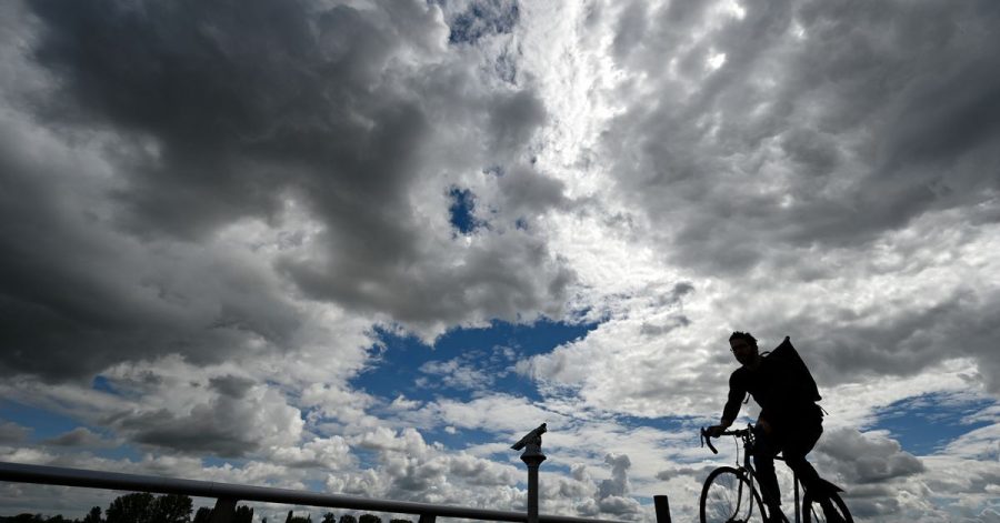 Ein Radfahrer ist am Mainzer Rheinufer unterwegs.