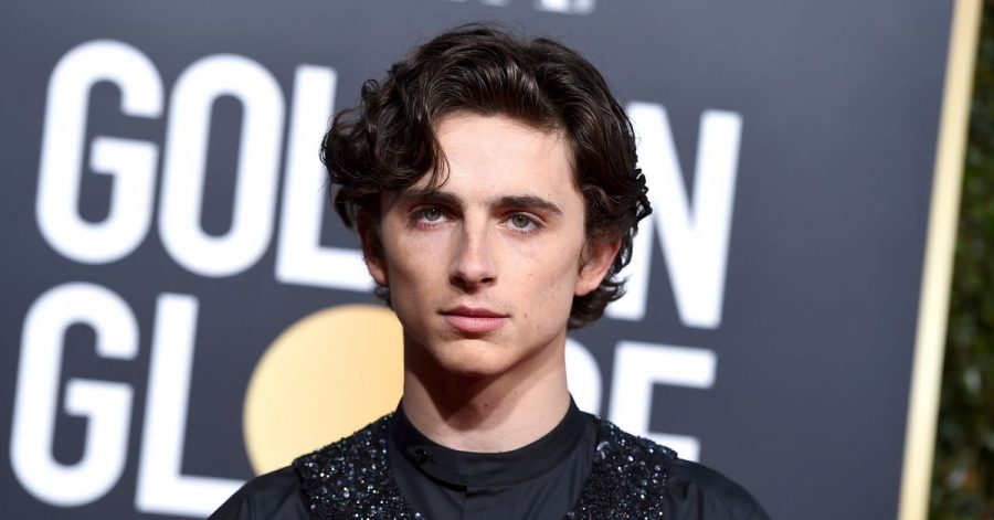 Timothée Chalamet fungiert als Mit-Ausrichter der Met-Gala.