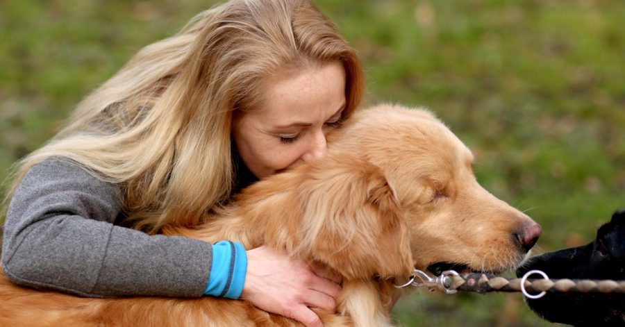 Wer sich für einen neuen Hund entscheidet, sollte sich vor Augen führen: «Er wird anders sein als der alte.»
