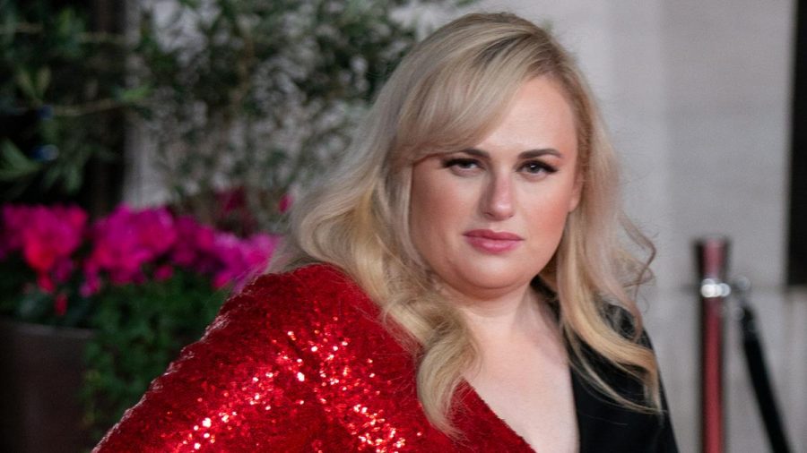 Rebel Wilson schreibt in emotionalen Worten über Fruchtbarkeits-Probleme. (tae/spot)