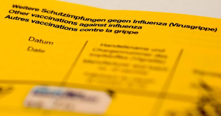 Ein Impfbuch mit den Feldern für die Impfung gegen Influenza (Virusgrippe).