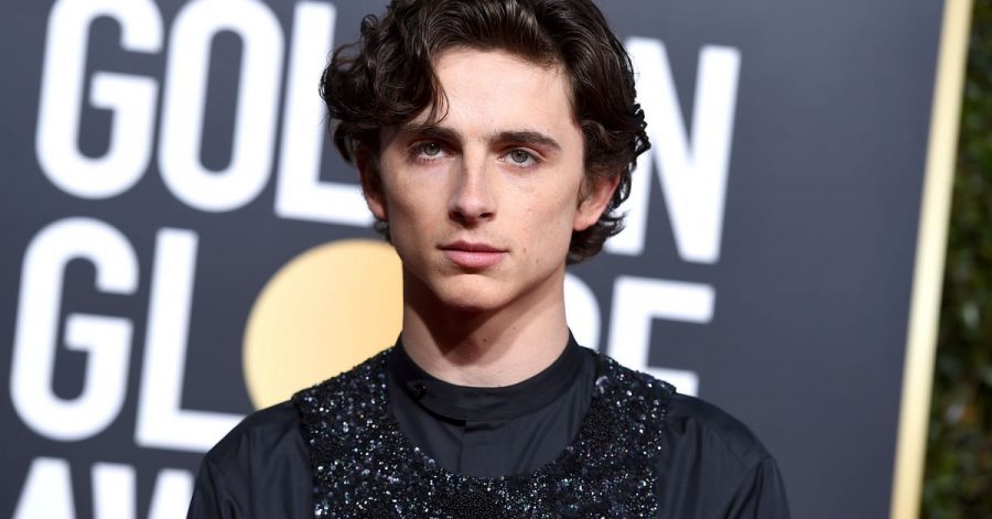 Timothée Chalamet war 2018 für die Hauptrolle in «Call Me By Your Name» für einen Oscar nominiert.