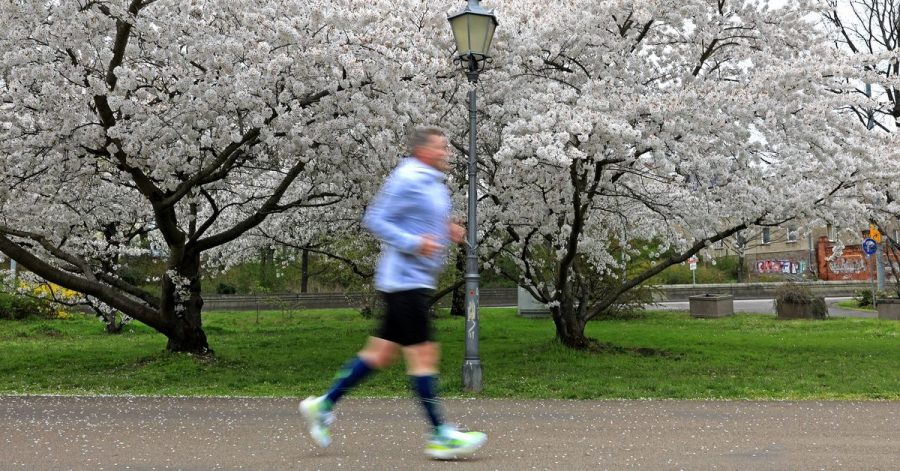 Viele Einsteiger überfordern ihren Körper auf den ersten Joggingrunden.
