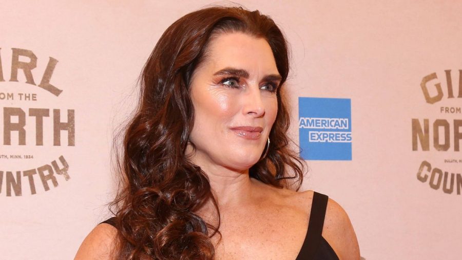 Brooke Shields Tochter: Rowan Henchy verlässt das Nest
