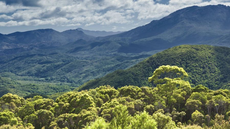 Kehrt das Dschungelcamp nach Australien zurück?