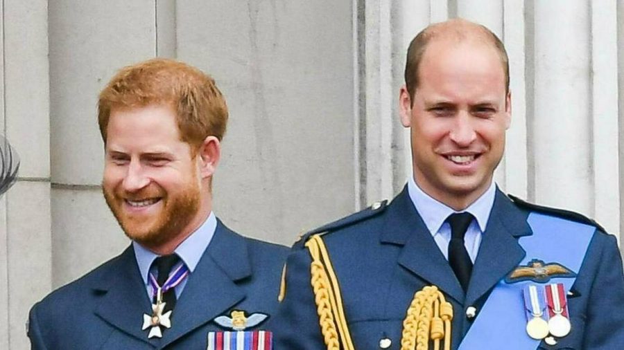 Prinz William und Prinz Harry sollen getrennte Reden bei der Einweihung des Diana-Denkmals planen. (ili/spot)