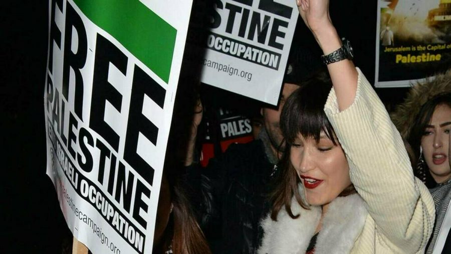 Scham Dich Israelische Regierung Kritisiert Bella Hadid