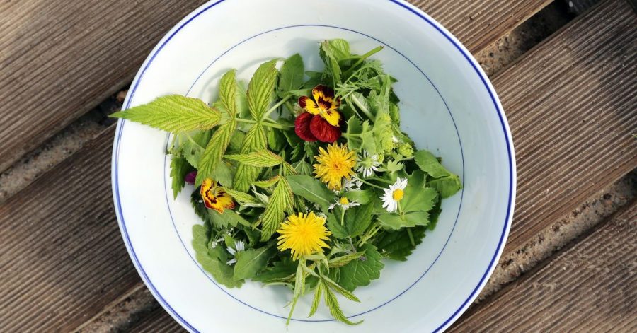 Bunte Tupfer auf dem Teller: Blüten verleihen einem Wildkräuter-Salat ein schönes Aussehen und ein besonderes Aroma.