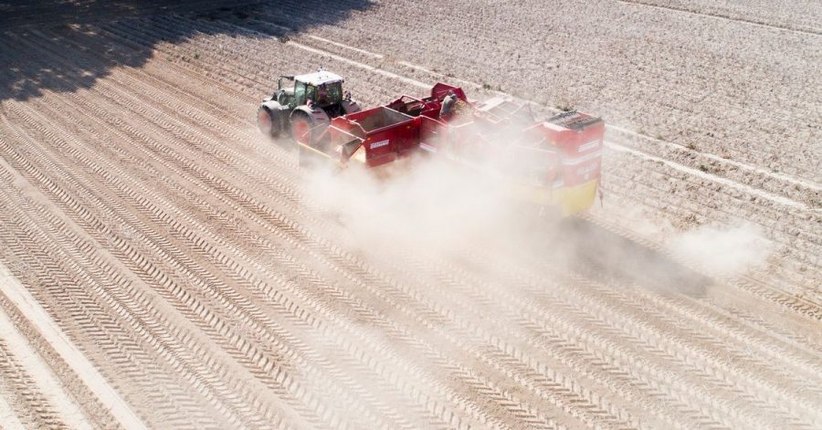 Ein Landwirt erntet Kartoffeln auf einem staubtrockenen Feld in der Region Hannover (2020).