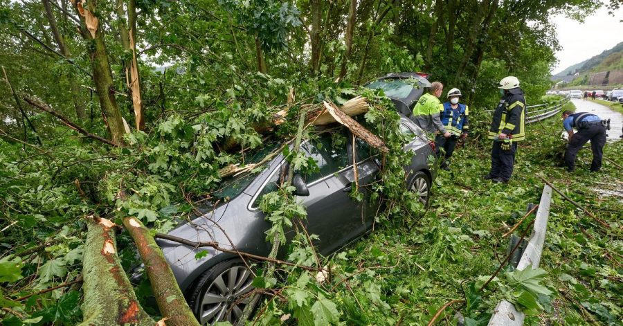 Im rheinland-pfälzischen Braubach krachte ein Baum auf ein geparktes Auto.