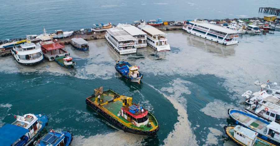 Eine dicke Schicht von Meeresschleim bedeckt das Marmarameer am Fischerhafen von Kartal, auf der asiatischen Seite Istanbuls.