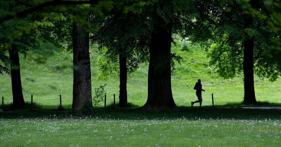 Ein Jogger im Englischen Garten in Bewegung liegt in der Natur des Menschen - von Anfang an.