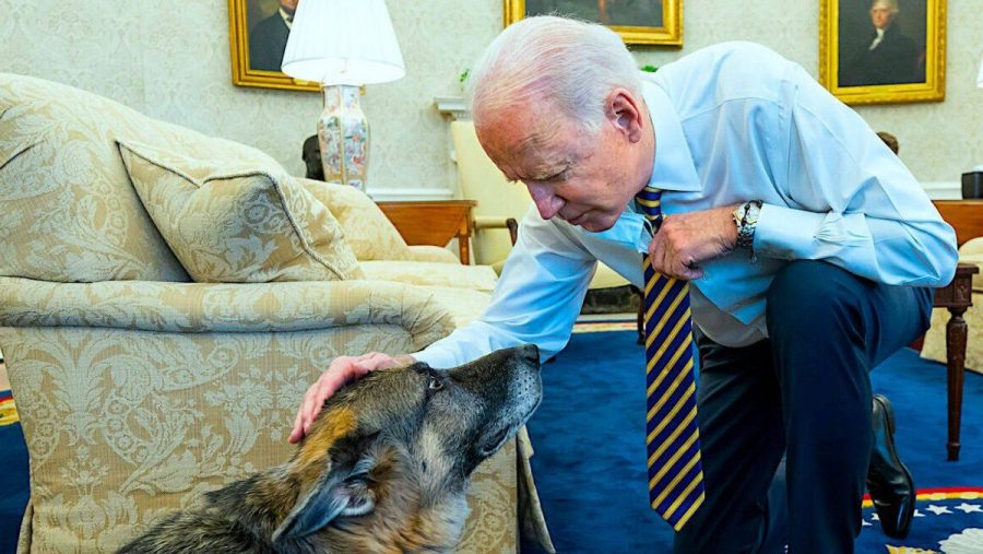 Joe Biden und sein verstorbener Hund Champ. (nra/spot)