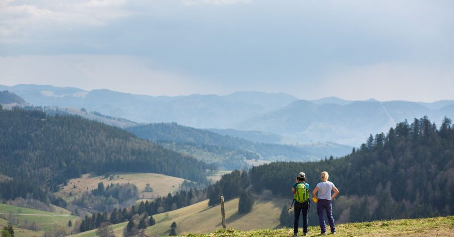 Schöner Schwarzwald: Die Touristiker vor Ort denken über eine Abgabe für Tagestouristen für bestimmte Attraktionen nach.