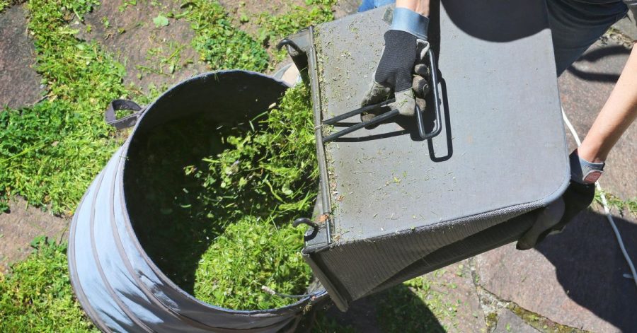 Frisch gemähtes Gras ist im Garten vielseitig einsetzbar - Rasenschnitt eignet sich zum Beispiel zum Mulchen.