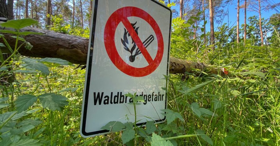Mit der ersten Hitzewelle des Jahres in Deutschland steigt die Gefahr von Waldbränden weiter an.