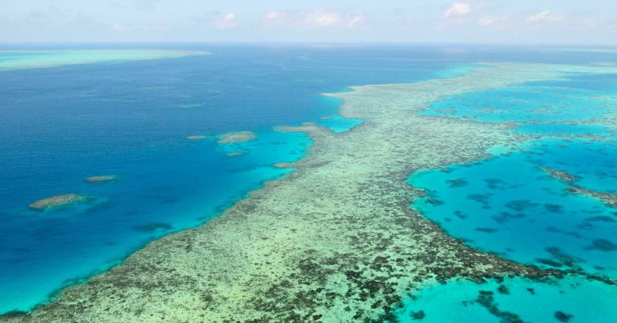 Die Umweltschäden am Great Barrier Reef nehmen zu. Das Unesco-Welterbekomitee fordert Australien eindringlich auf, Maßnahmen gegen den Klimawandel zu treffen.