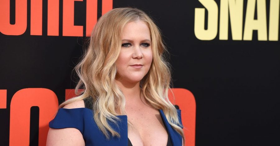Amy Schumer 2017 bei der Premiere des Films «Snatched».