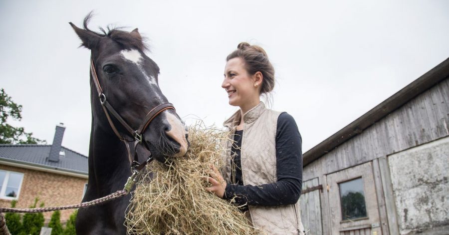 Ein 600-Kilo-Sportpferd benötigt zwischen 9 bis 12 Kilo Heu am Tag. Es sollte dabei allerdings qualitativ hochwertig sein.