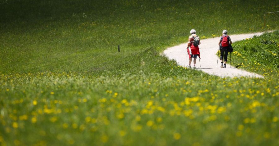 Wanderer auf einem Weg durch eine Wiese zwischen Seefeld und Mösern in Österreich.