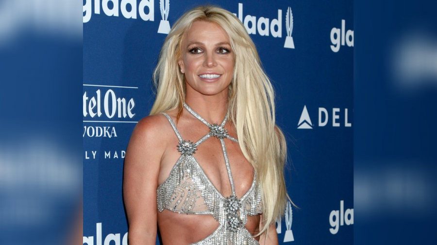 Sängerin Britney Spears genießt aktuell ihr Privatleben. (amw/spot)