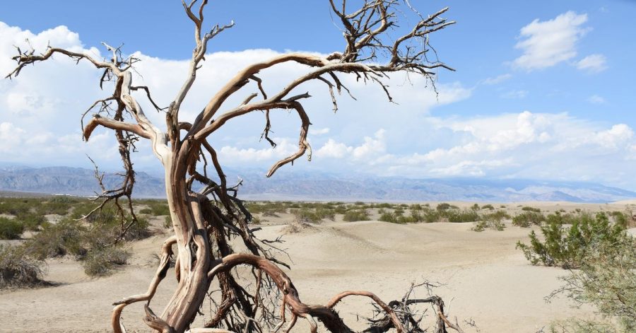 Nicht nur im Death Valley National Park (Kalifornien) ist es sehr, sehr heiß.