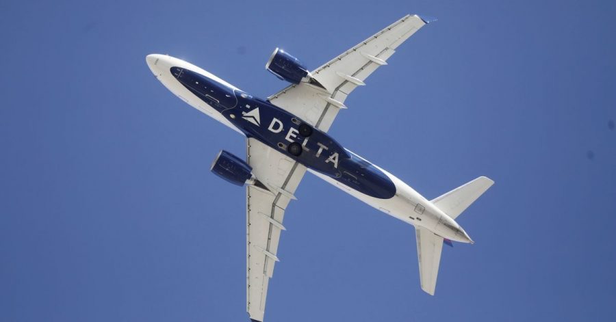 Ein Flugzeug der Fluggesellschaft Delta. Ein renitenter Passagier hat ein Flugzeug der Airline vorzeitig zur Landung gezwungen.