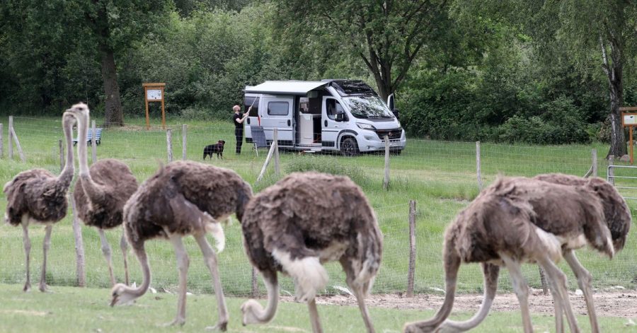 Wie IT-Programmierer Hendrik nutzen immer mehr Caravan-Besitzer Angebote von Bauerhöfen, Weingütern oder Tierfarmen, um dort kurz Halt zu machen.