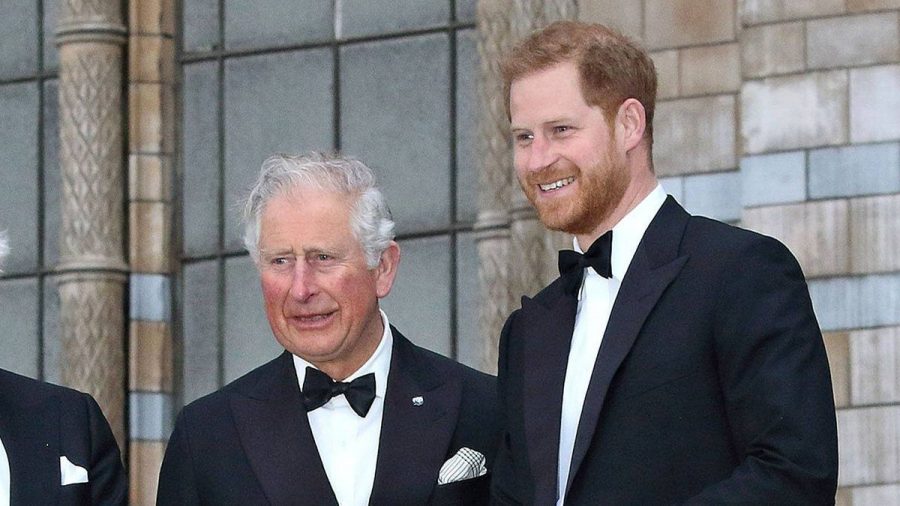 Prinz Charles (l.) wird seinen Sohn Prinz Harry im Juli nicht treffen. (ili/spot)