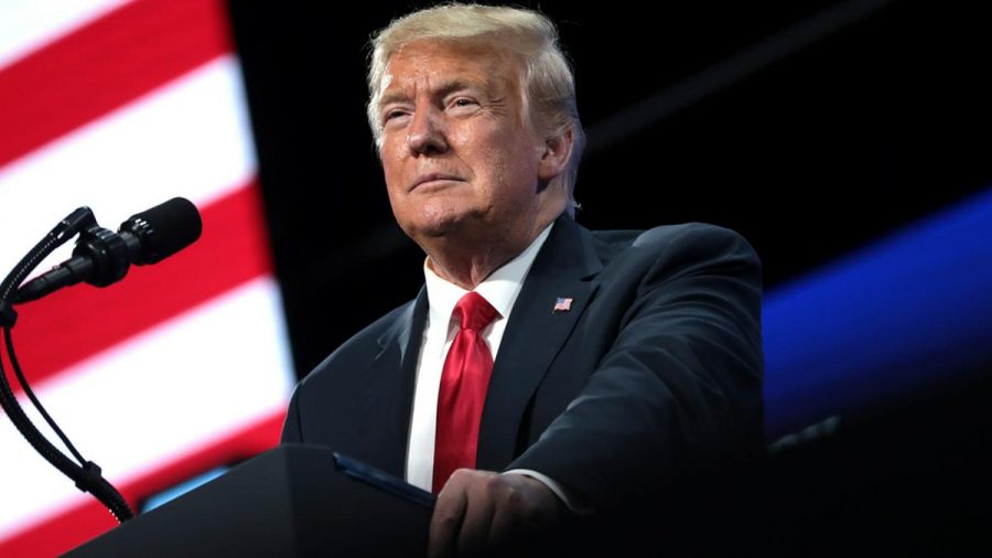 Im Mai startete Donald Trump seinen eigenen Kurznachrichten-Blog. (jru/spot)