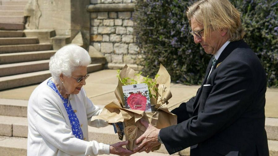 Queen Elizabeth II. bekam die "Duke of Edinburgh"-Rose überreicht. (amw/spot)