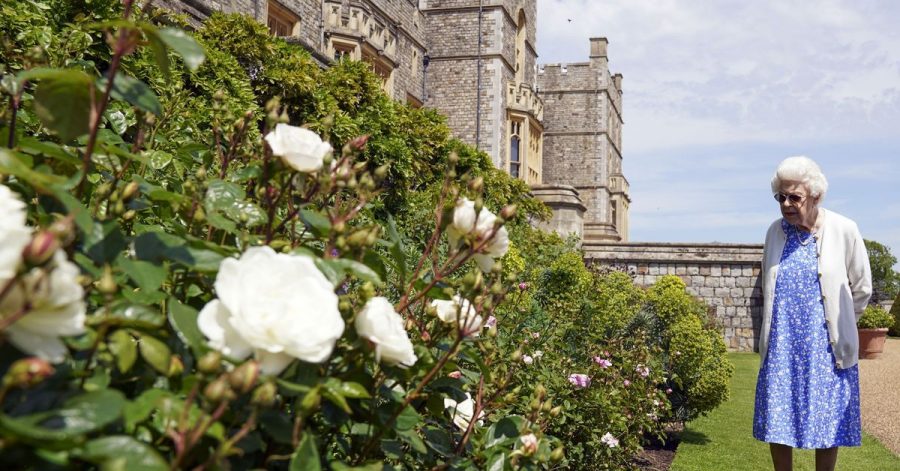 Die Queen erfreut sich an den Rosen auf Schloss Windsor.