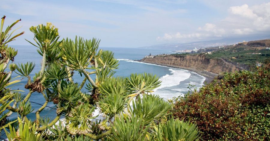 Voraussichtlich das Winterziel Nummer eins: Die Kanarischen Inseln - hier Teneriffa - stehen bei vielen Tui-Gästen hoch im Kurs.
