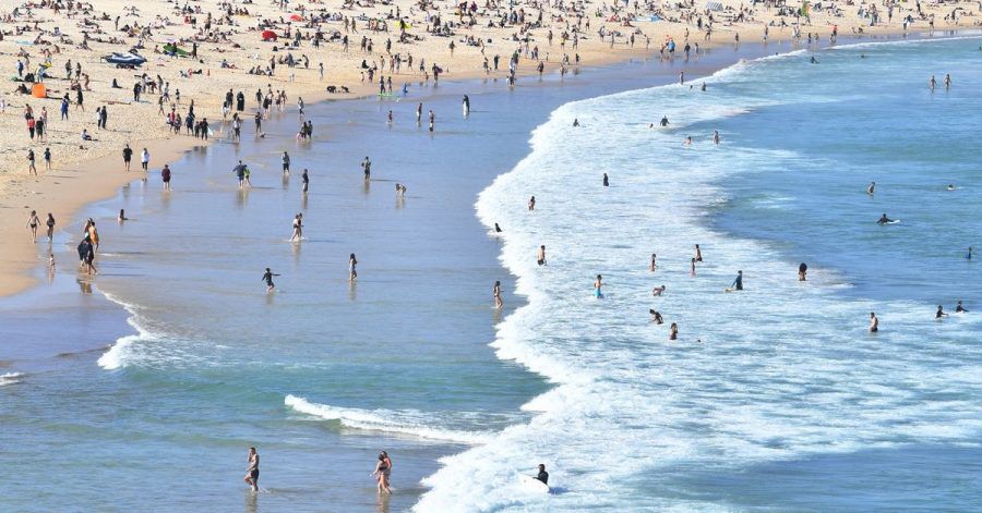 Sydneys berühmter Bondi Beach ist wegen zahlreicher Haie im Wasser vorübergehend geschlossen worden.
