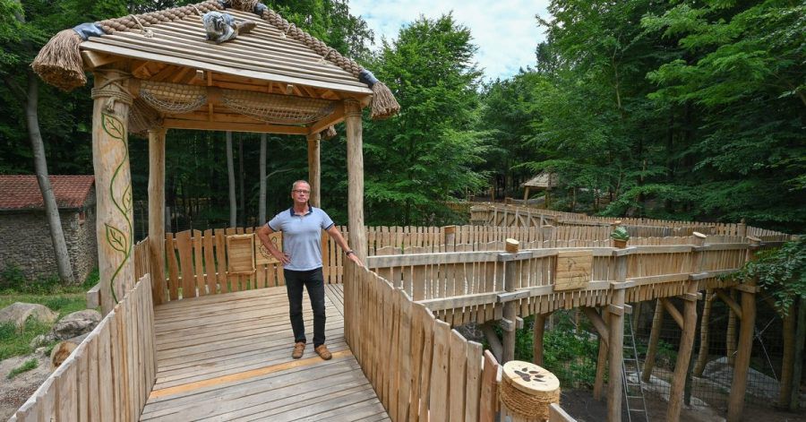 Bernd Hensch, Direktor vom Zoo Eberswalde, steht auf dem neuen hölzernen Erlebnispfad hoch über den Tiergehegen.