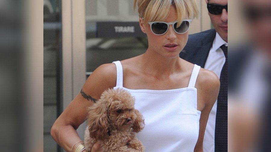 Hunde spielen im Leben von Michelle Hunziker eine große Bedeutung. (stk/spot)