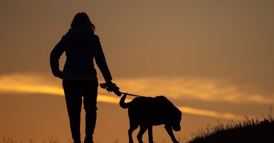 Eine Frau geht am Morgen mit ihrem Hund spazieren.