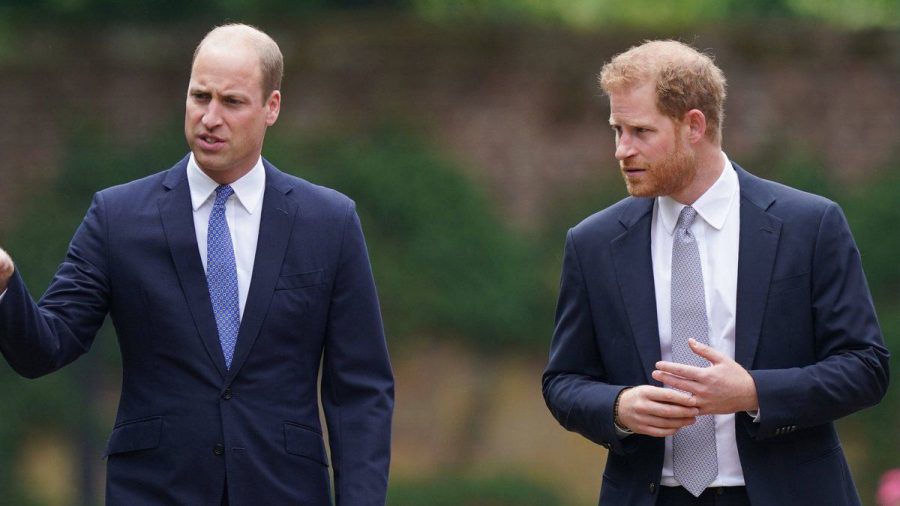 Prinz William und Prinz Harry gemeinsam in London. (hub/spot)