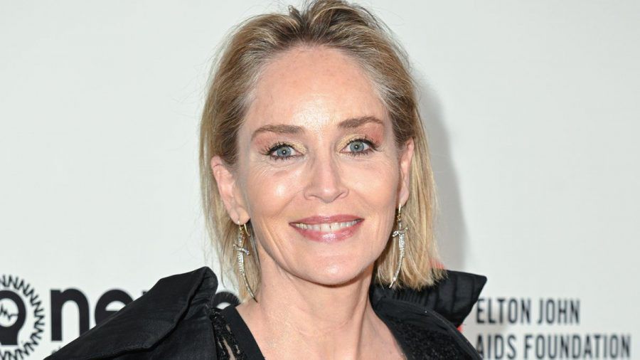 Sharon Stone soll Partynächte mit Rapper RMR verbracht haben. (jom/spot)