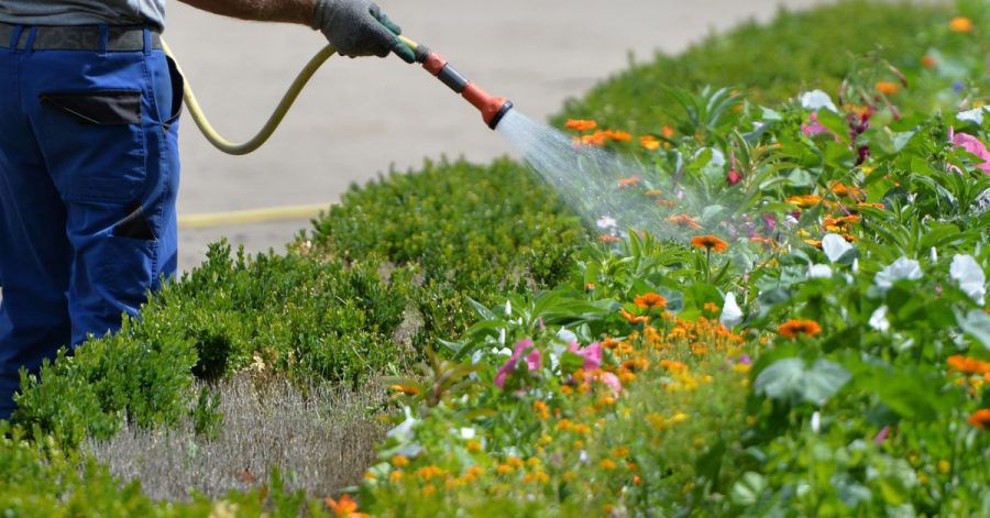 Gartenbewässerung kostet Geld. Mieterinnen und Mieter können an den Ausgaben über die Betriebskosten beteiligt werden.