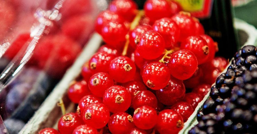 Johannisbeeren halten sich locker gepackt ein paar Tage im Kühlschrank. Ihre Rispen sollte man erst nach dem Waschen entfernen.