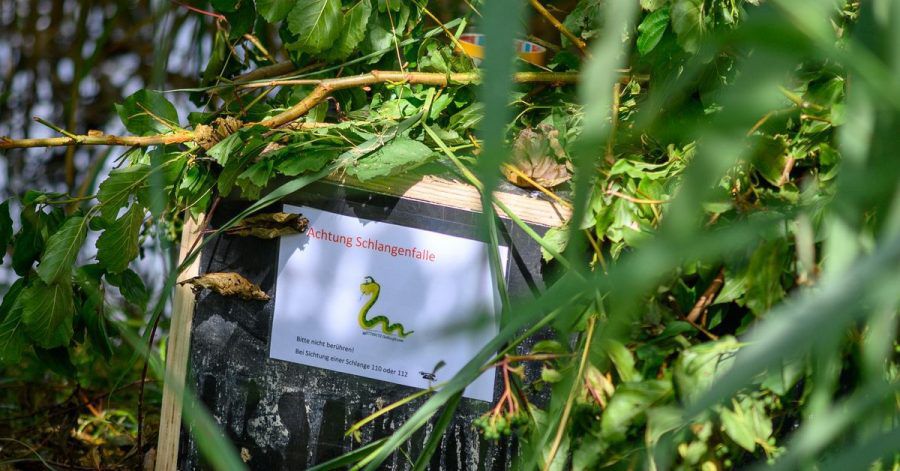 Eine Kiste mit der Aufschrift "Achtung Schlangenfalle" in Haldensleben.