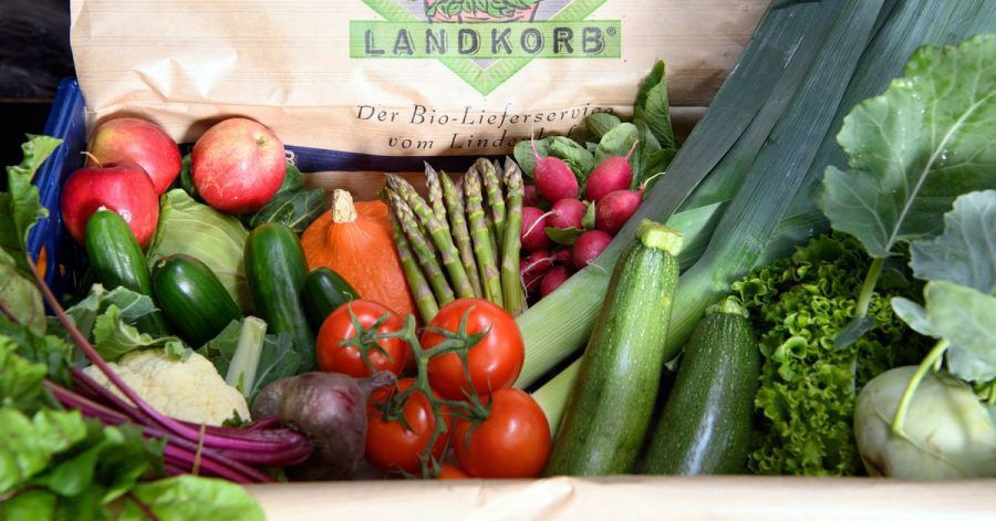 Eine mit Obst, Gemüse und Kräutern gefüllte Kiste des Bio-Lieferservice «Landkorb». Das Familienunternehmen in dem kleinen Dorf im Nordwesten Brandenburgs beliefert derzeit etwa 4000 Kunden im Berliner Raum und im nördlichen Brandenburg mit Gemüse, Salaten und Kräutern sowie vielen weiteren Bio-Produkten.
