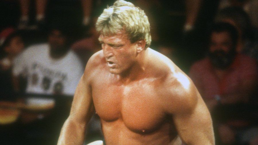 Paul Orndorff 1995 im Ring. (hub/spot)